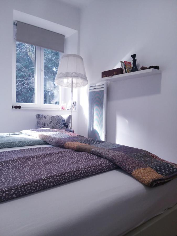 Apartment Little Heaven - Free Parking 塞拉耶佛 外观 照片
